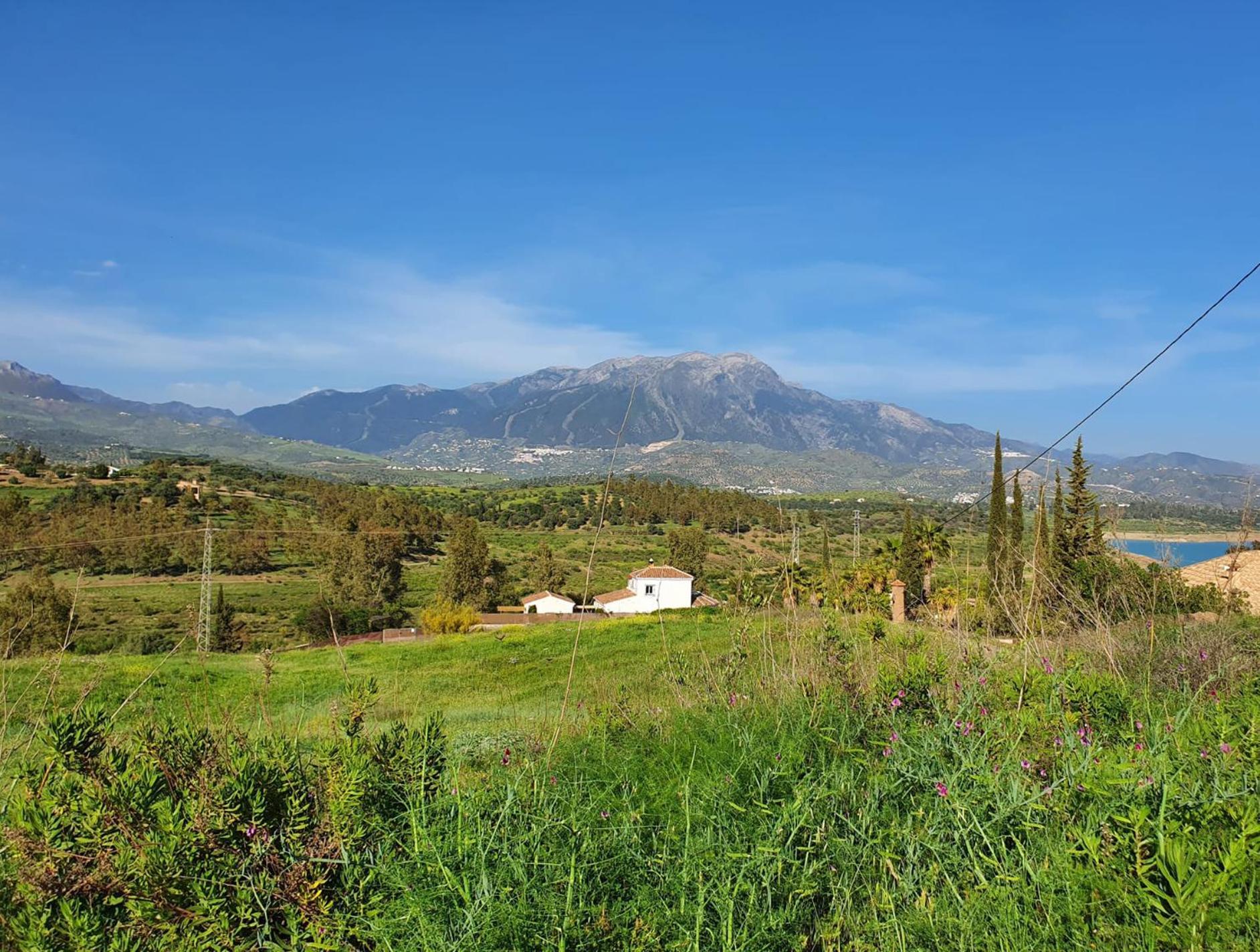 La Rustica En Vinuela, Piscina Privada Villa Exterior foto